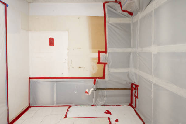 Best Asbestos and Lead Testing During Mold Inspection  in Desert Palms, CA