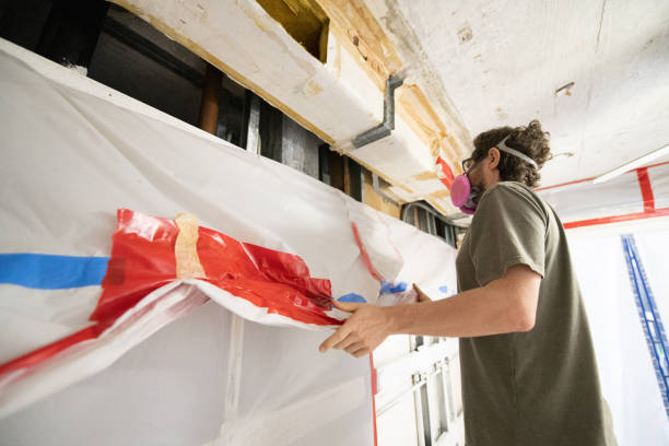 Reliable Desert Palms, CA Mold Removal Solutions