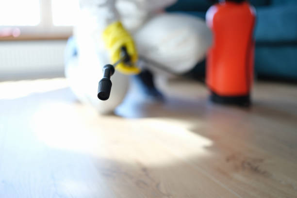 Best Water Damage & Mold Remediation  in Desert Palms, CA