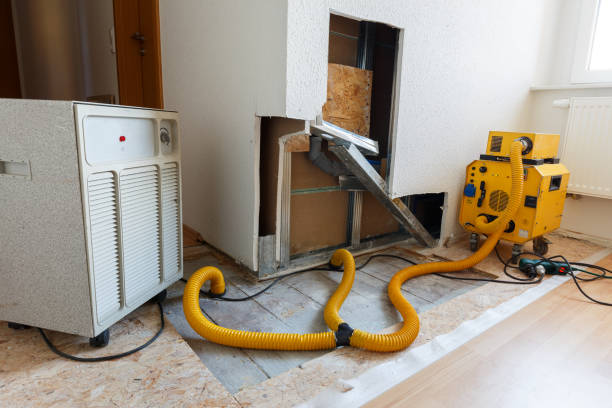 Best Asbestos and Lead Testing During Mold Inspection  in Desert Palms, CA
