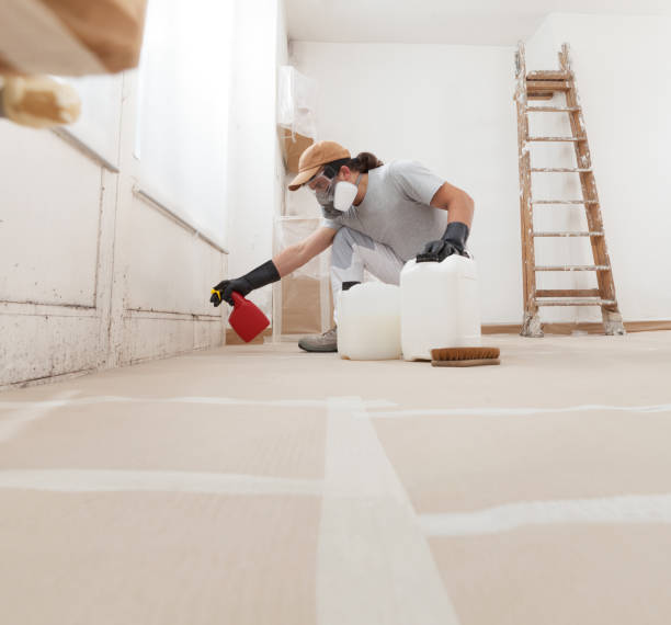 Best Mold Documentation for Insurance Claims  in Desert Palms, CA